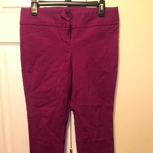 purple stretch pants from the limited